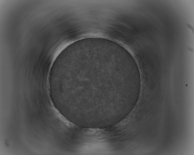 X0000100491056200807031911