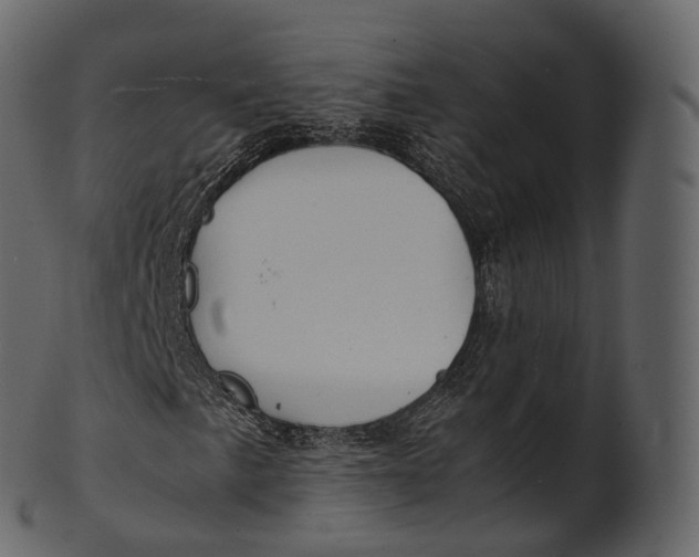 X0000100491057200807031911