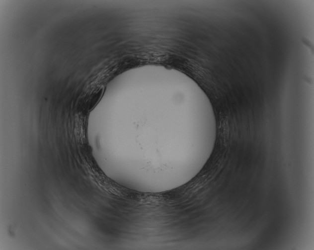 X0000100491058200807031911