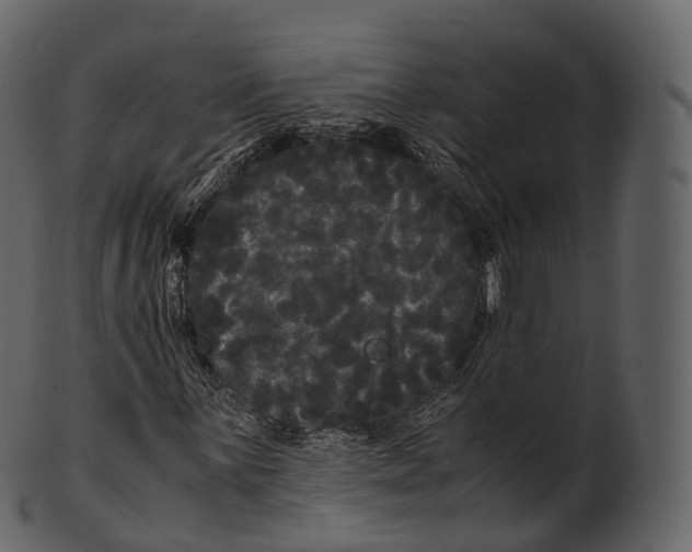 X0000100491059200807031911