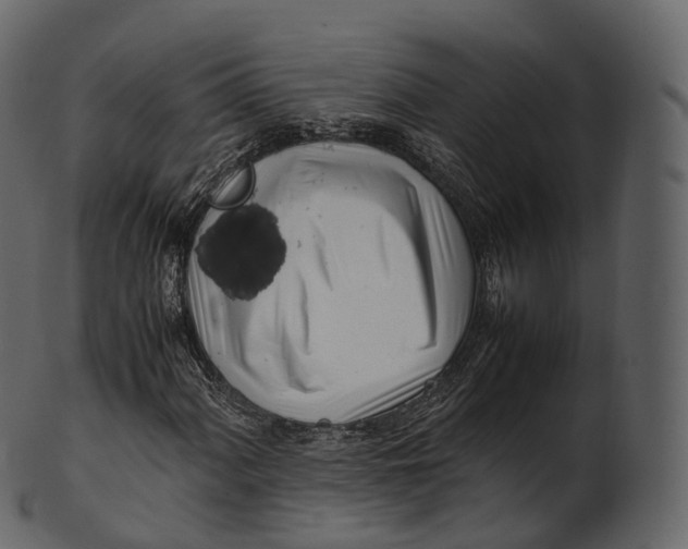 X0000100491060200807031911