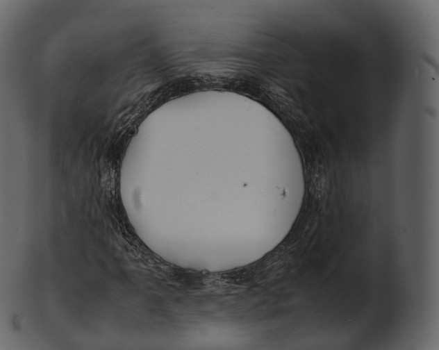 X0000100491061200807031911