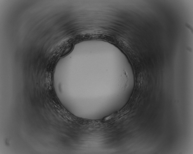 X0000100491062200807031911