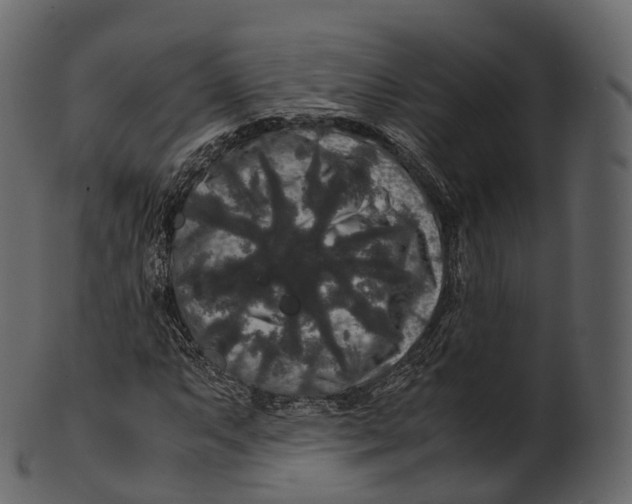 X0000100491063200807031911