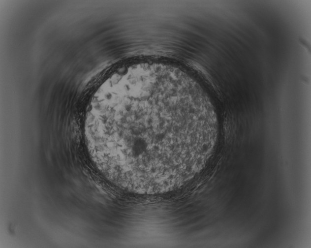 X0000100491064200807031911