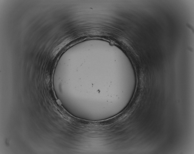 X0000100491065200807031911