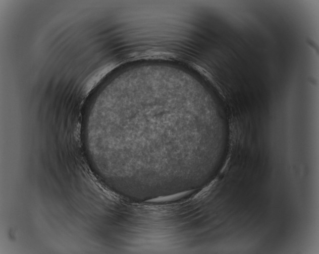 X0000100491066200807031911