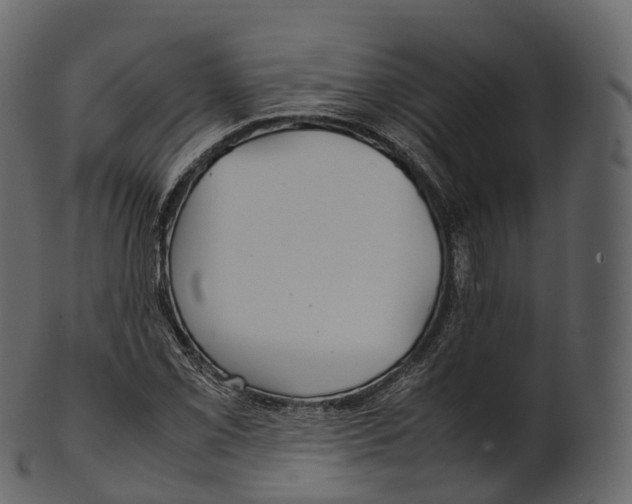 X0000100491069200807031911