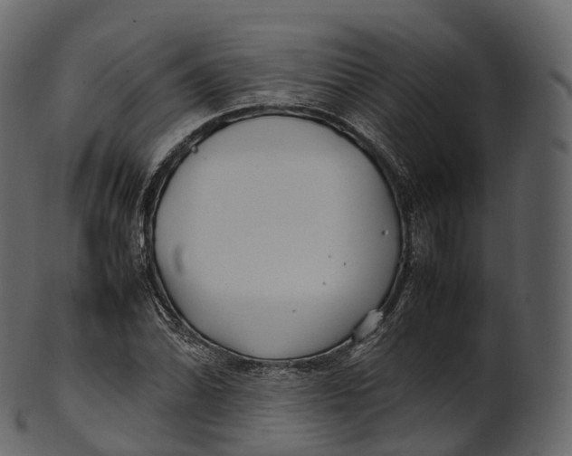 X0000100491070200807031911