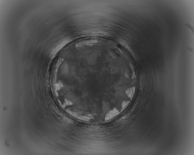 X0000100491071200807031911