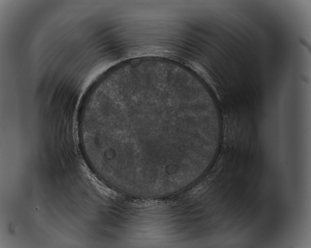 X0000100491072200807031911