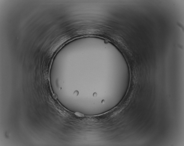 X0000100491073200807031911