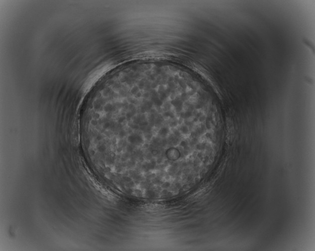 X0000100491075200807031910