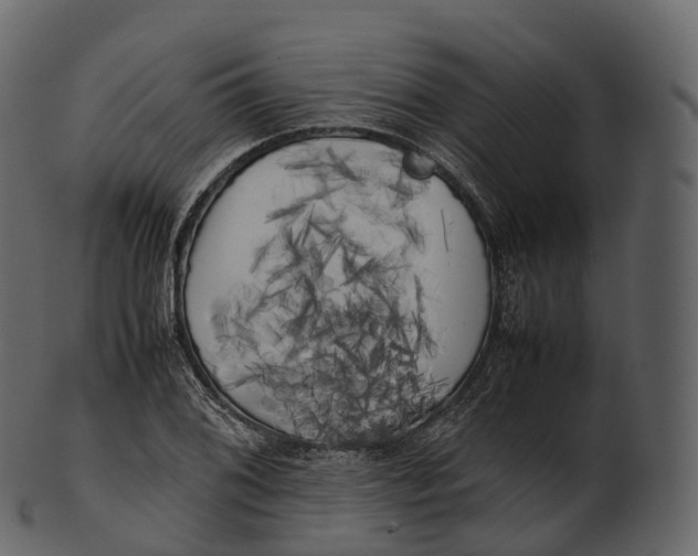 X0000100491076200807031910