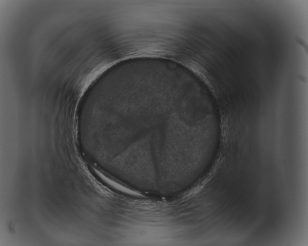 X0000100491077200807031910