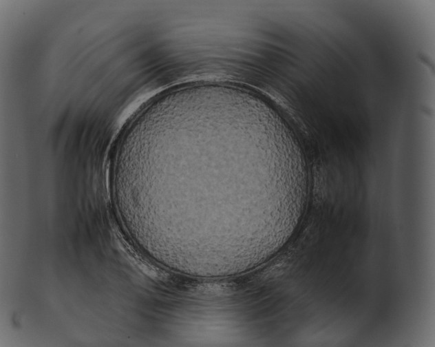 X0000100491078200807031910