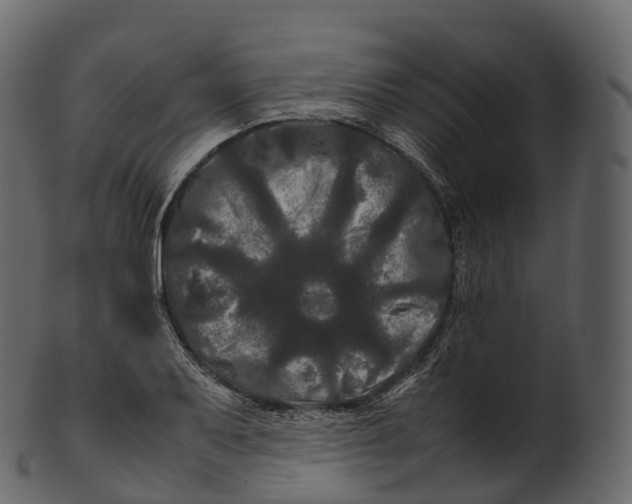 X0000100491079200807031910