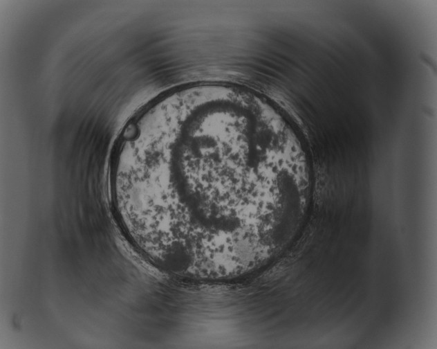 X0000100491080200807031910