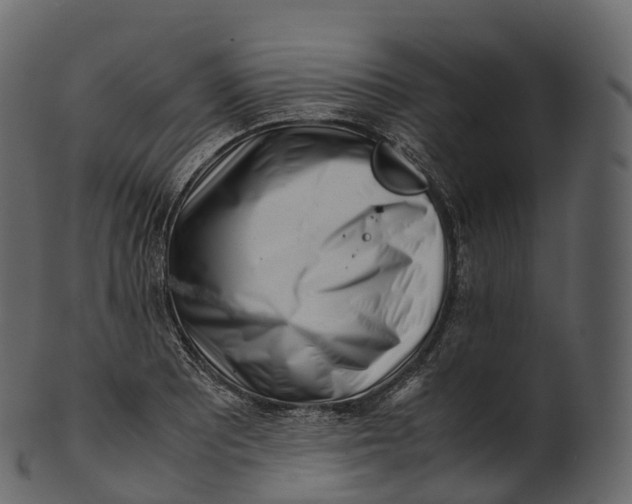 X0000100491081200807031910