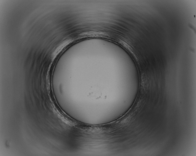 X0000100491082200807031910