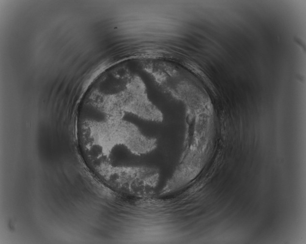 X0000100491083200807031910