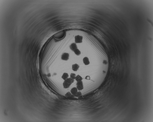 X0000100491084200807031910