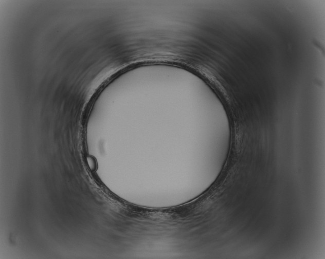 X0000100491085200807031910