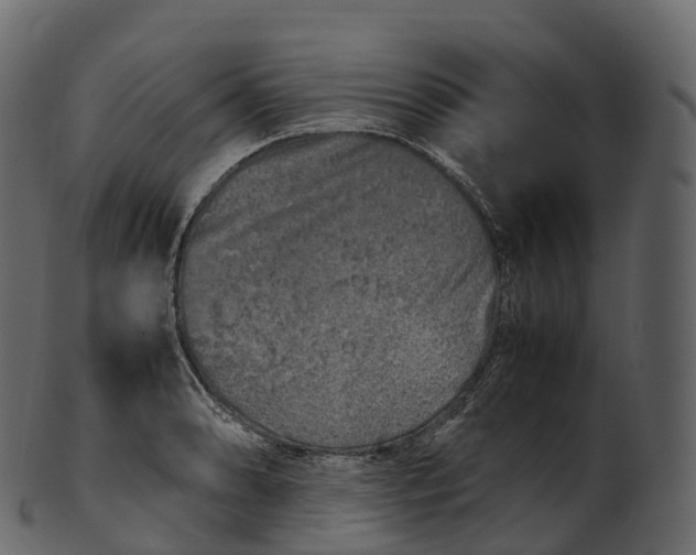 X0000100491086200807031910