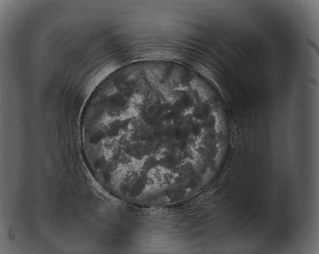 X0000100491087200807031910