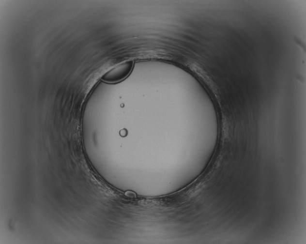 X0000100491089200807031910