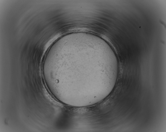 X0000100491090200807031910