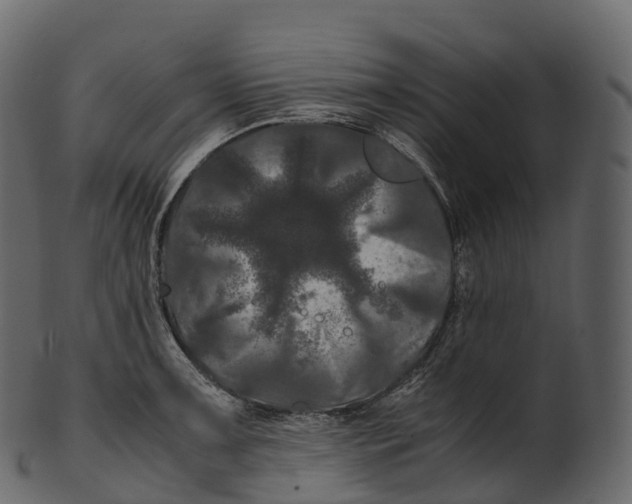 X0000100491091200807031910