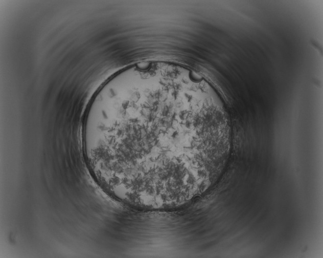 X0000100491092200807031910