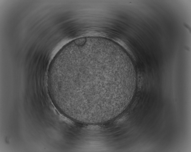 X0000100491094200807031910