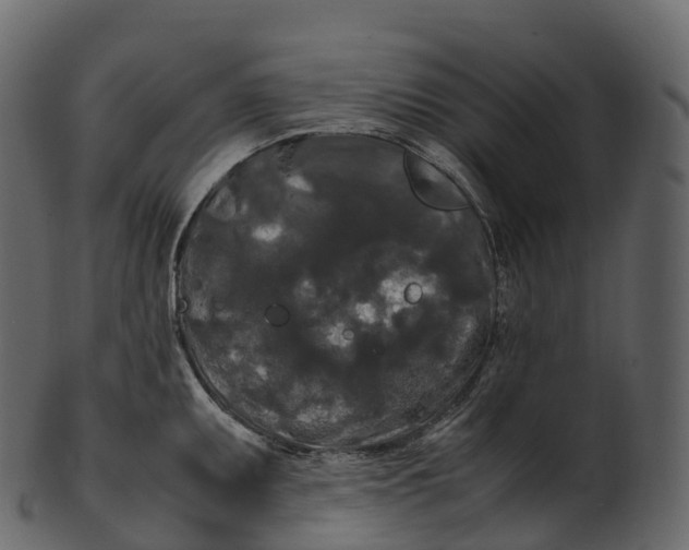 X0000100491095200807031910