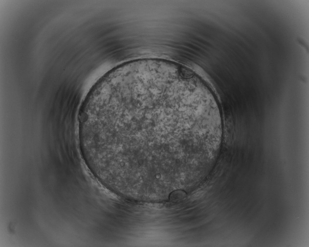 X0000100491096200807031910