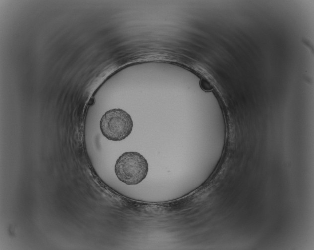 X0000100491097200807031910