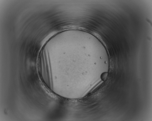 X0000100491098200807031910