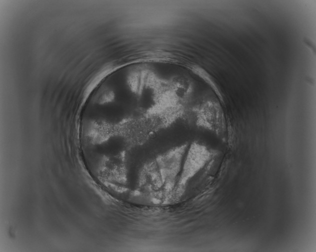 X0000100491099200807031910