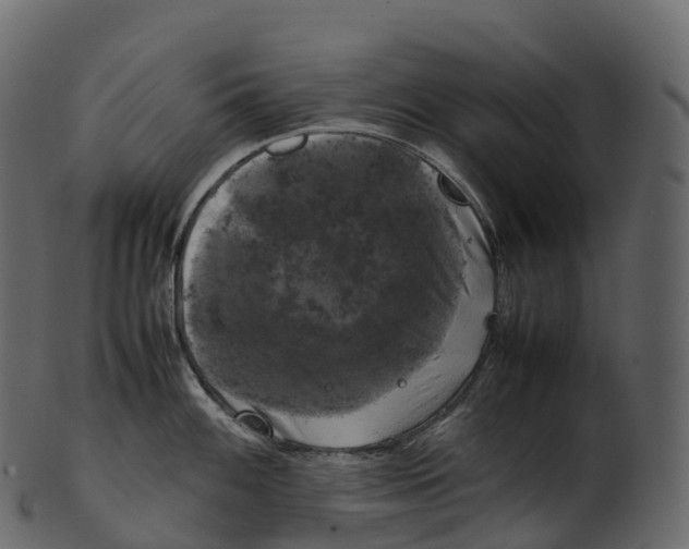 X0000100491100200807031910