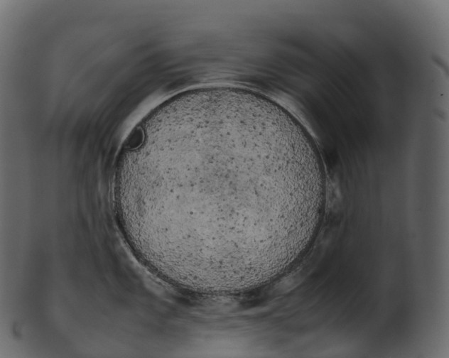 X0000100491101200807031910