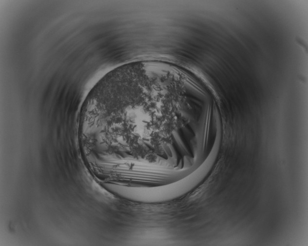 X0000100491102200807031910