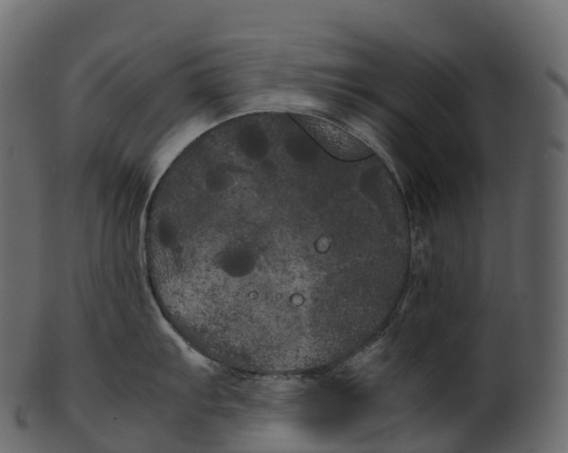 X0000100491103200807031910