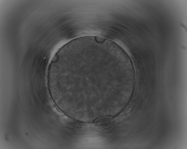 X0000100491104200807031910