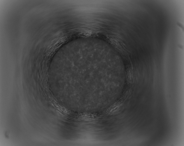 X0000100491105200807031909