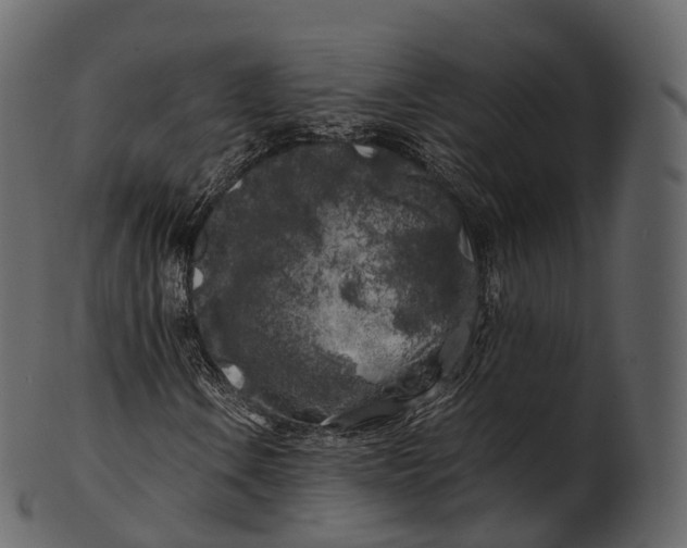 X0000100491106200807031909