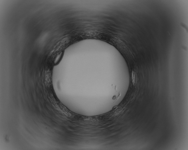 X0000100491107200807031909