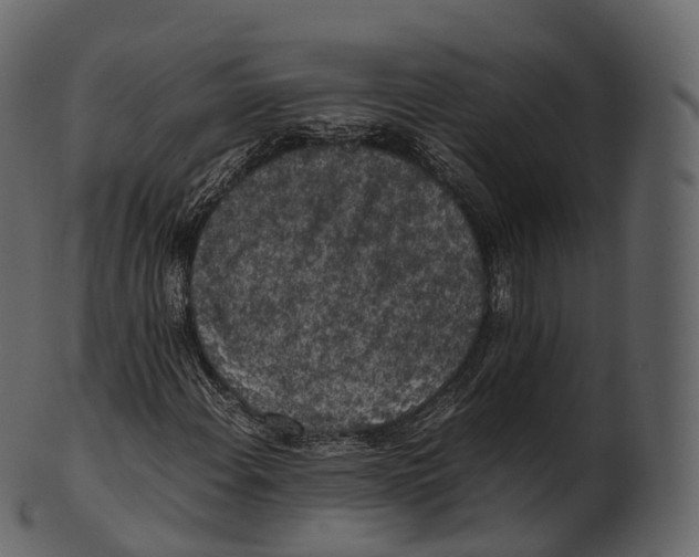 X0000100491108200807031909