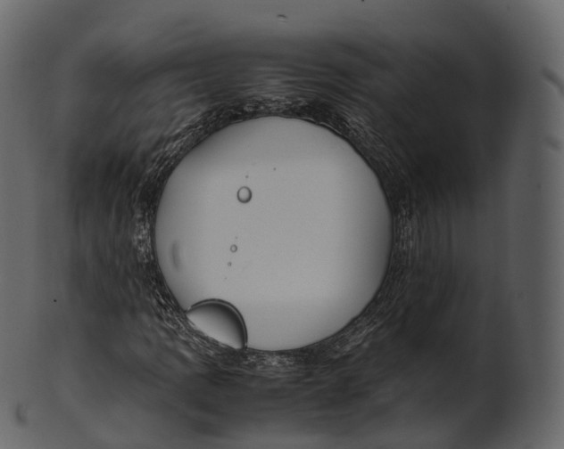 X0000100491109200807031909