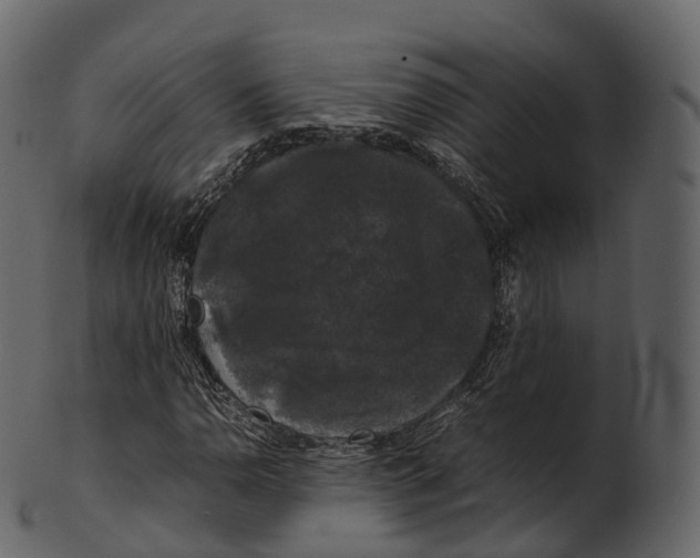 X0000100491110200807031909